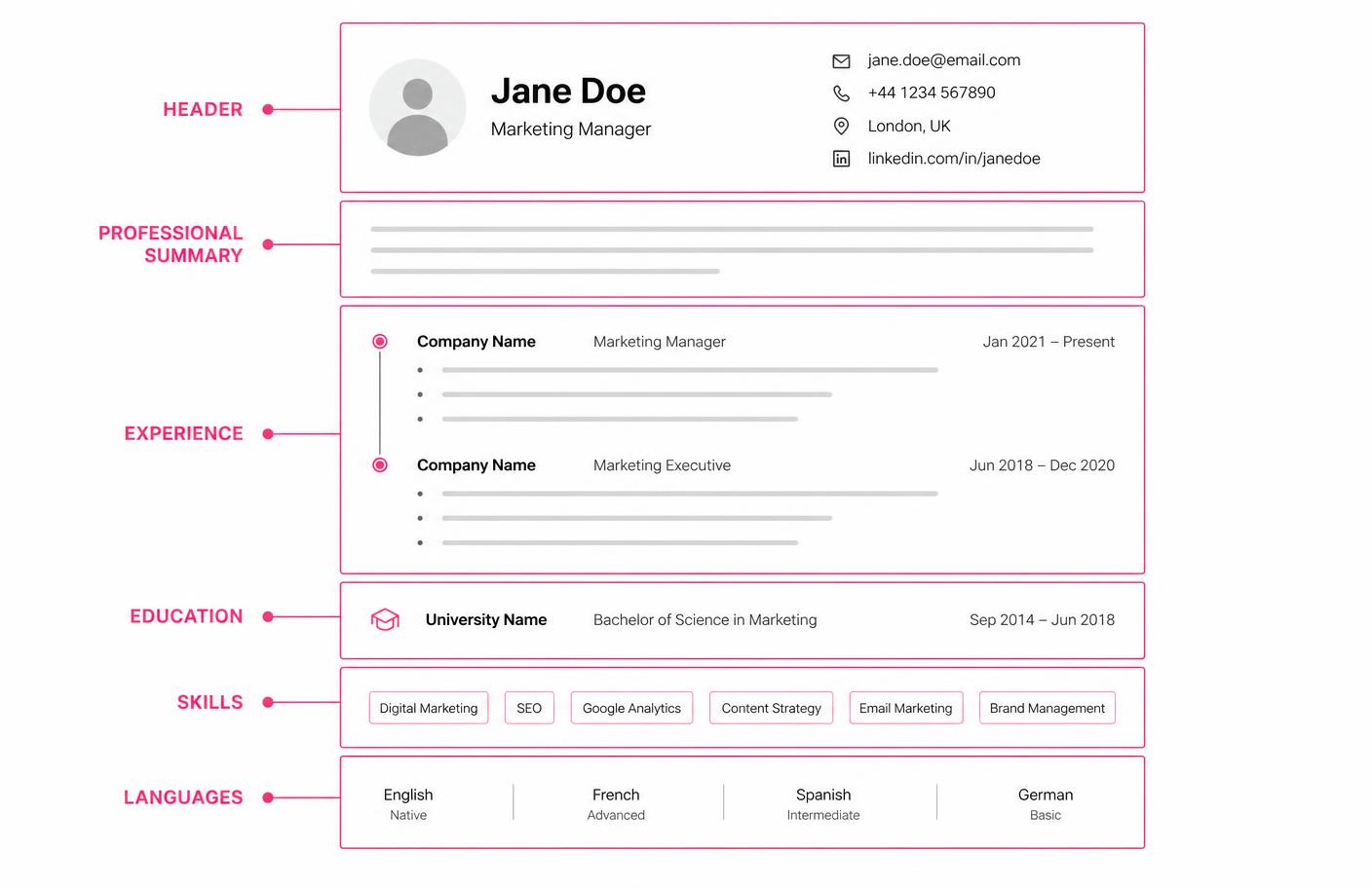 Schema di un CV di una pagina con intestazione, sintesi professionale, esperienza, formazione, competenze e lingue
