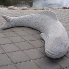 Narva-fish
