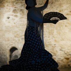flamenco-g5529cb335_1280