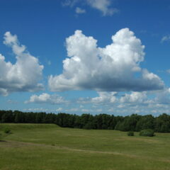 landscape-in-estonia-1343796