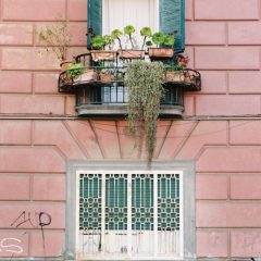 lawrence-chismorie-Y9D51k6_X5M-unsplash lawrence-chismorie-Y9D51k6_X5M-unsplash