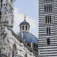 mateus-campos-felipe-bNVARJMlves-unsplash mateus-campos-felipe-bNVARJMlves-unsplash