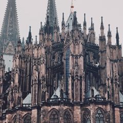pexels-dids-2801032 pexels-dids-2801032